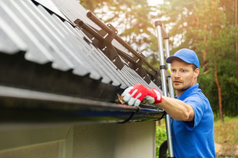 Roof Gutter Cleaning in Longmont, CO