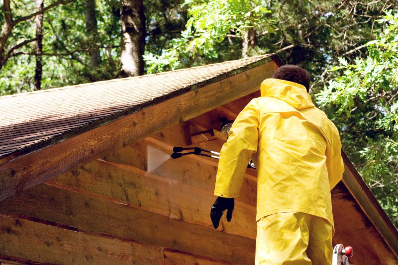 Local Log Home Exterior Cleaning pros at work